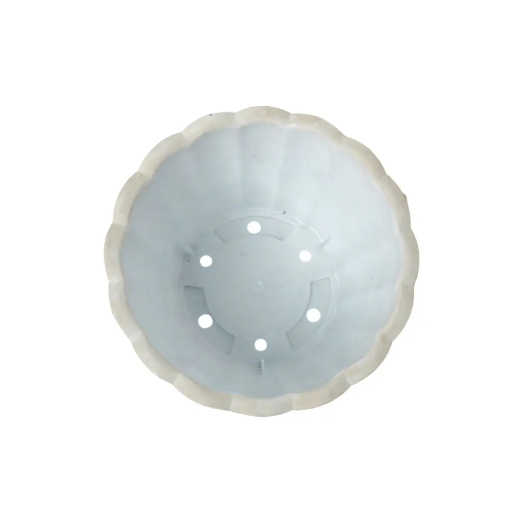 3-Photoroom.webp