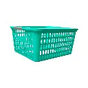 DSC05417-Photoroom.webp
