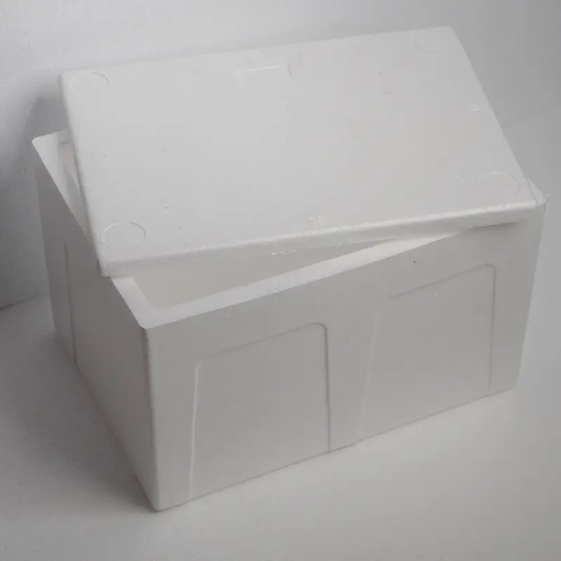 DSC08920.webp