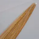 DSC00841.webp