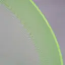 DSC00726.webp