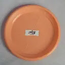DSC08132.webp