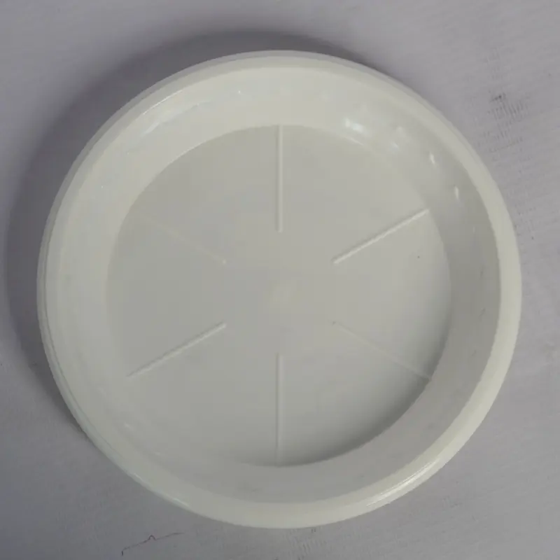 DSC08151.webp