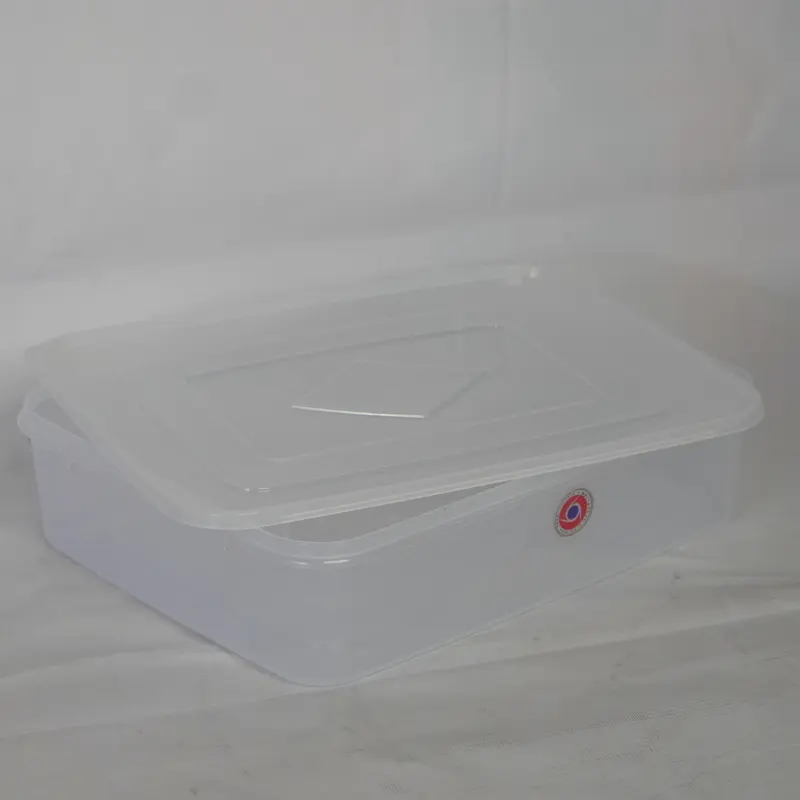 DSC08199.webp