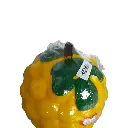 _DSC0931-Photoroom (1).webp