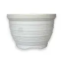DSC06675-Photoroom.webp
