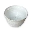 DSC06677-Photoroom.webp