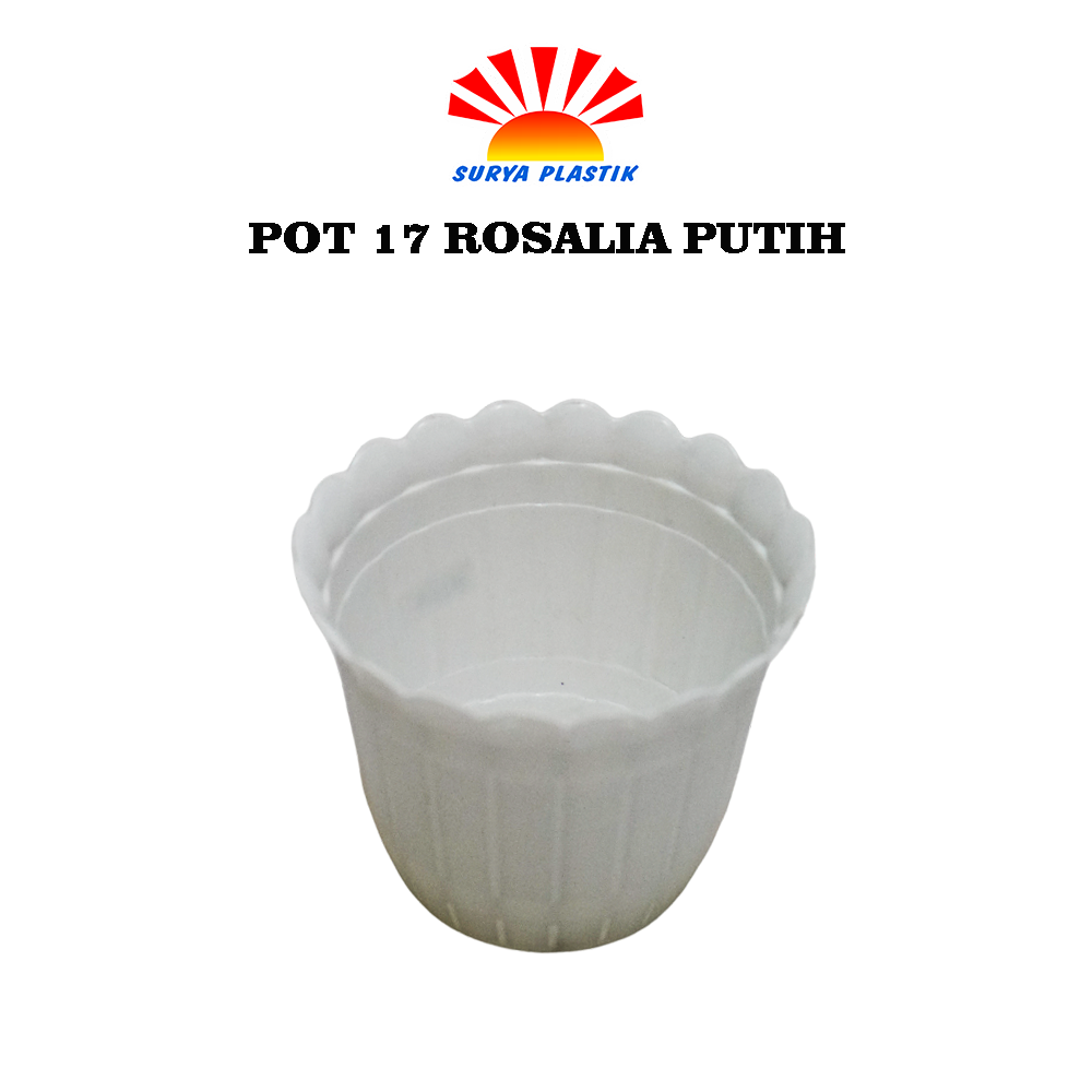 POT 17 ROSALIA PUTIH