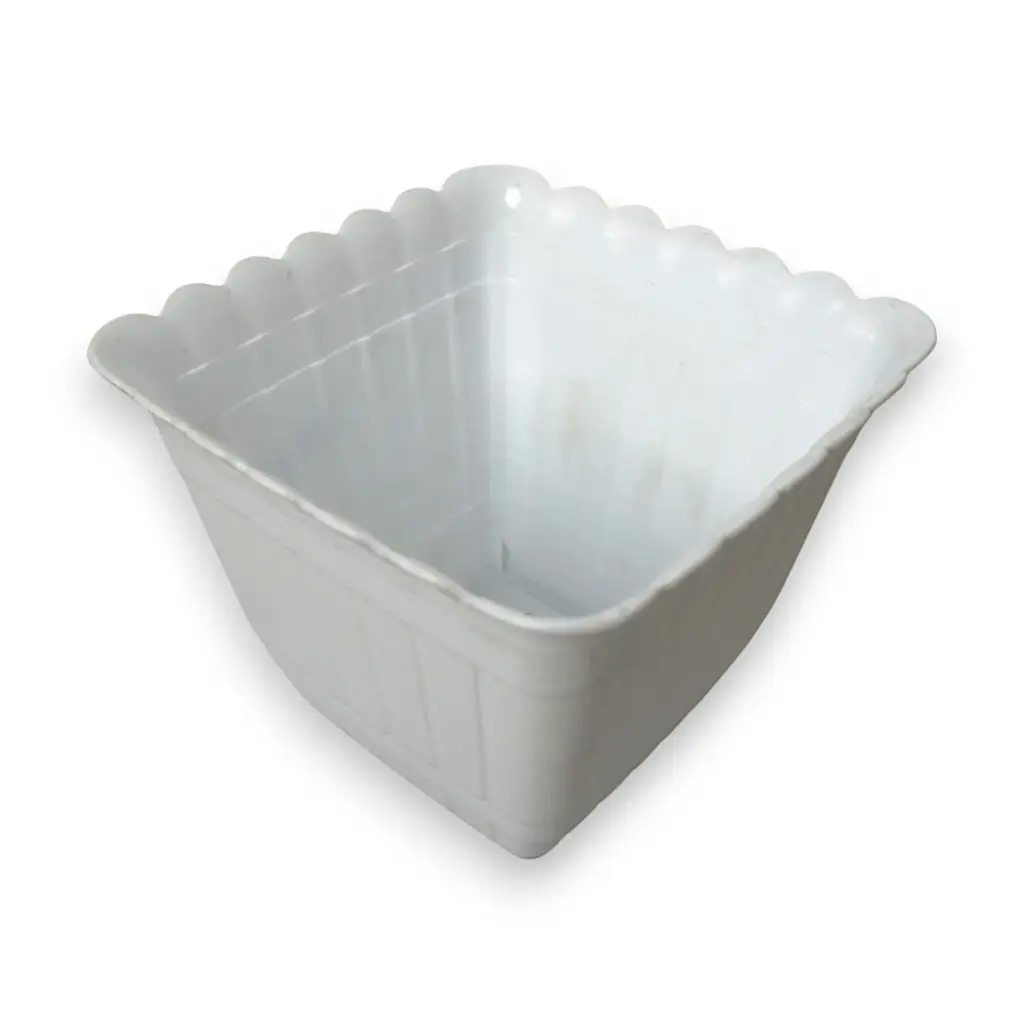POT 25 SEGI AMANDA PUTIH WS