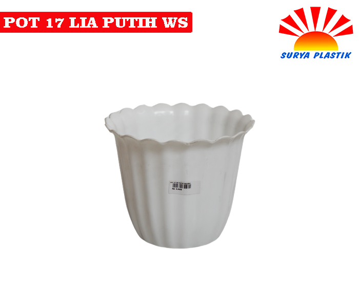 POT 17 LIA PUTIH