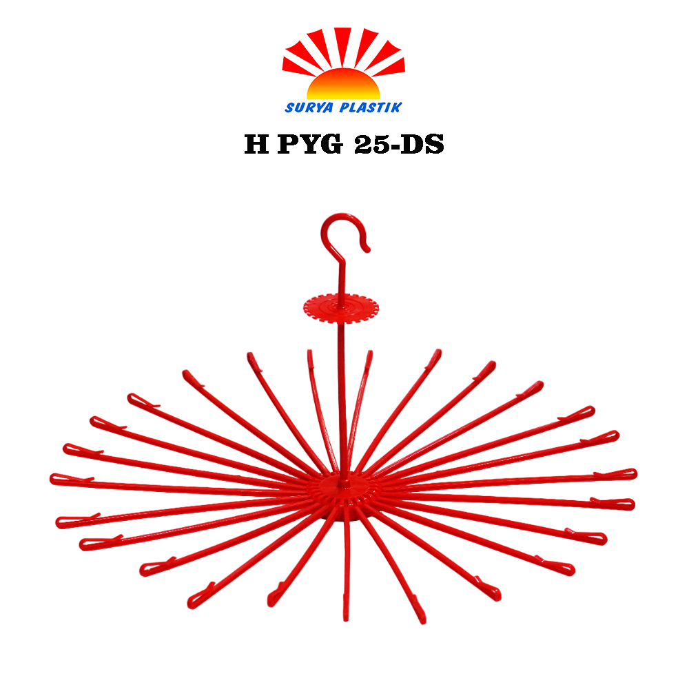 H PYG 25-DS@4DZ