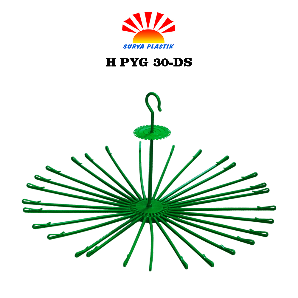 H PYG 30-DS@3DZ
