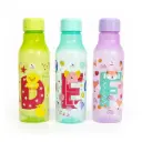 BOTTLE PALMER HYDRATION 600ML BIGGY