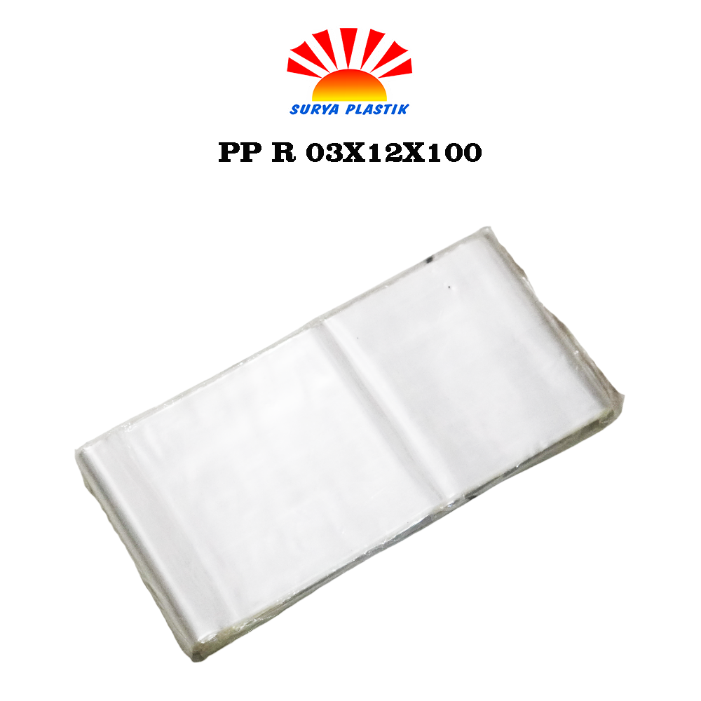 PP R 03X12X100