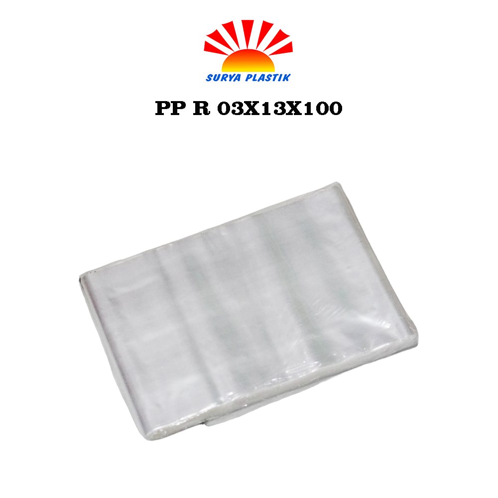 PP R 03X13X100