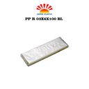 PP R 03X6X100