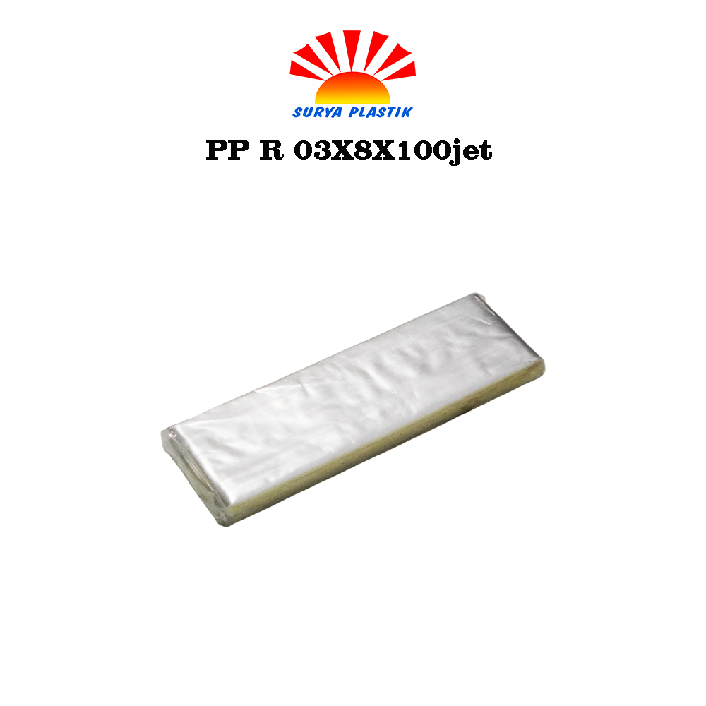 PP R 03X8X100