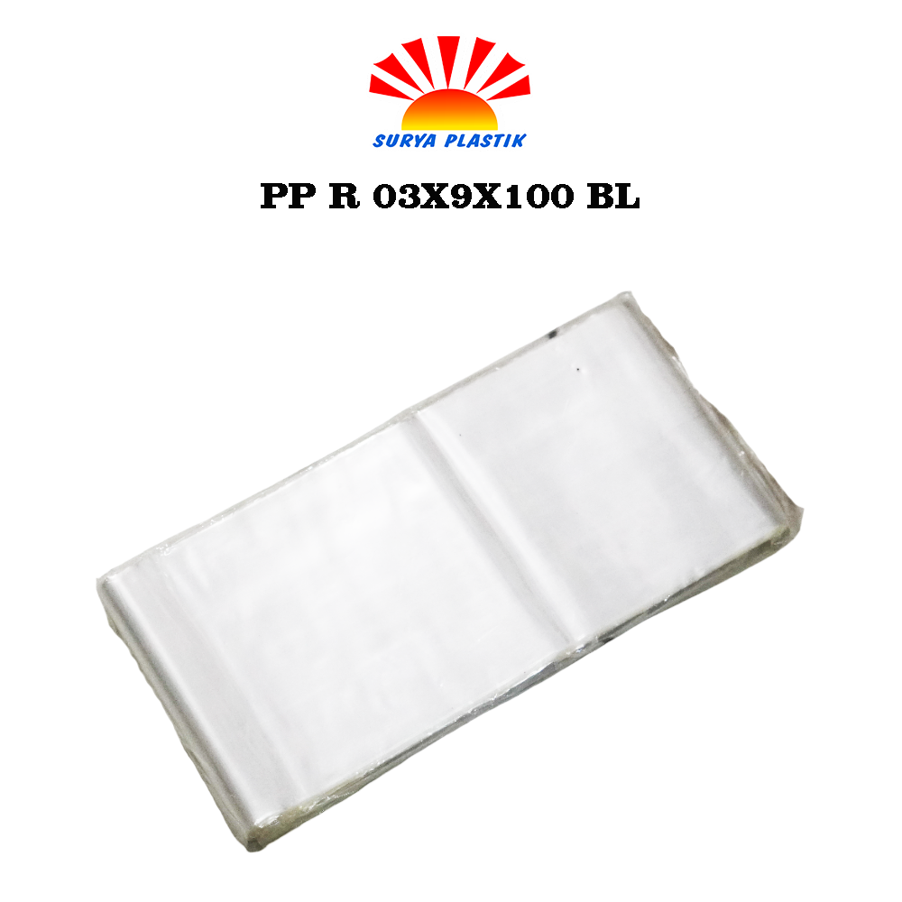 PP R 03X9X100