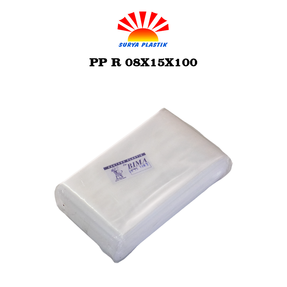 PP R 08X15X100