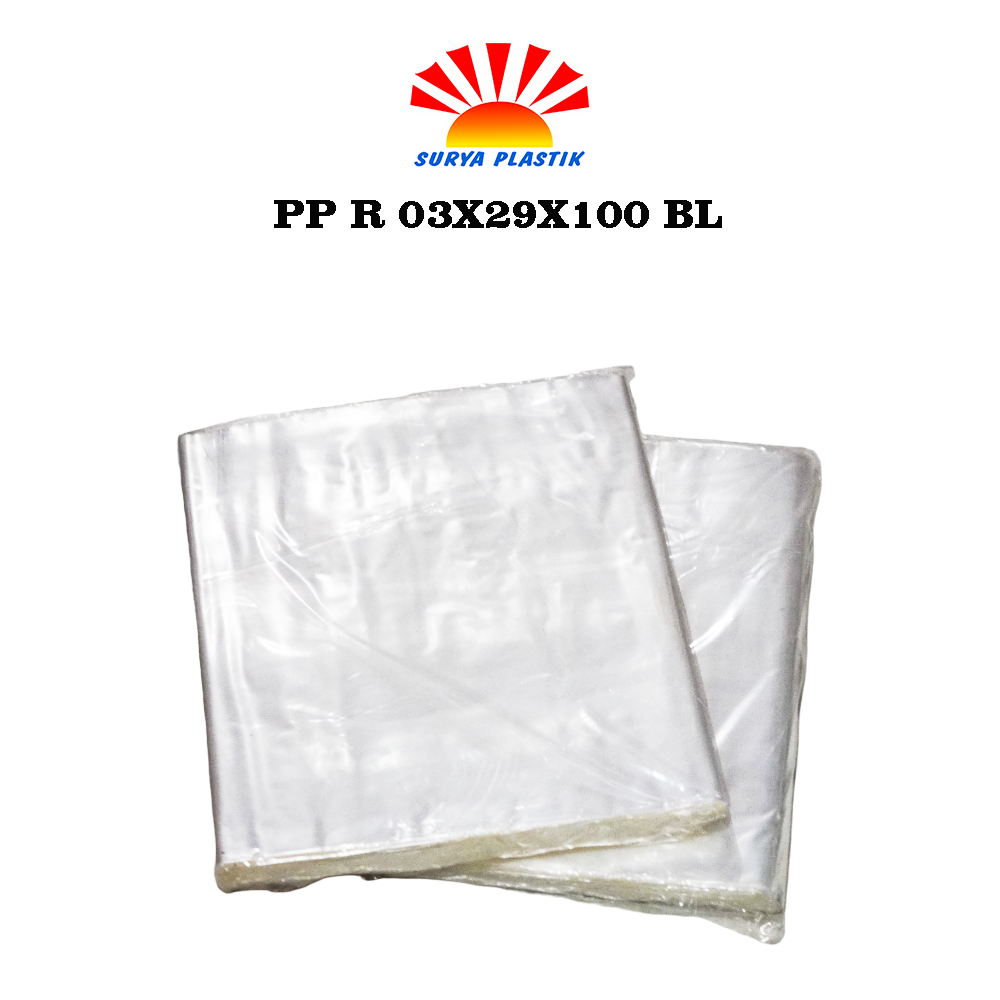 PP R 03X29X100