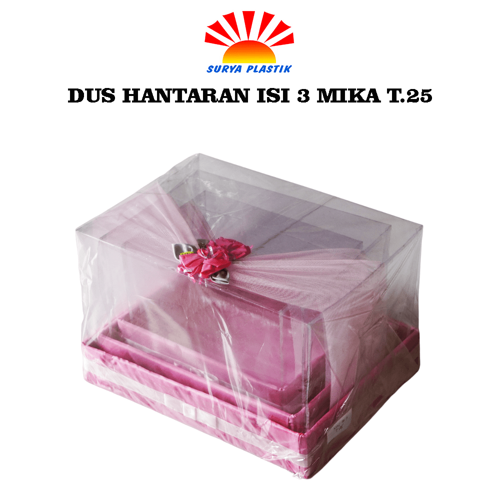 DUS HANTARAN ISI 3 MIKA T.25