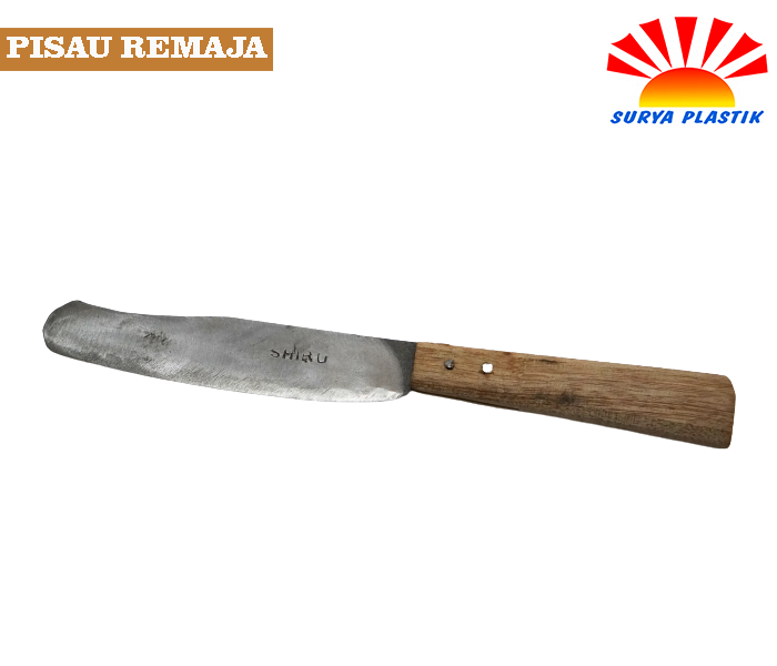 PISAU REMAJA