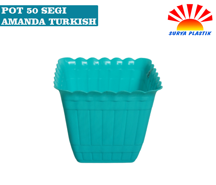 POT 50 SEGI AMANDA TURKISH