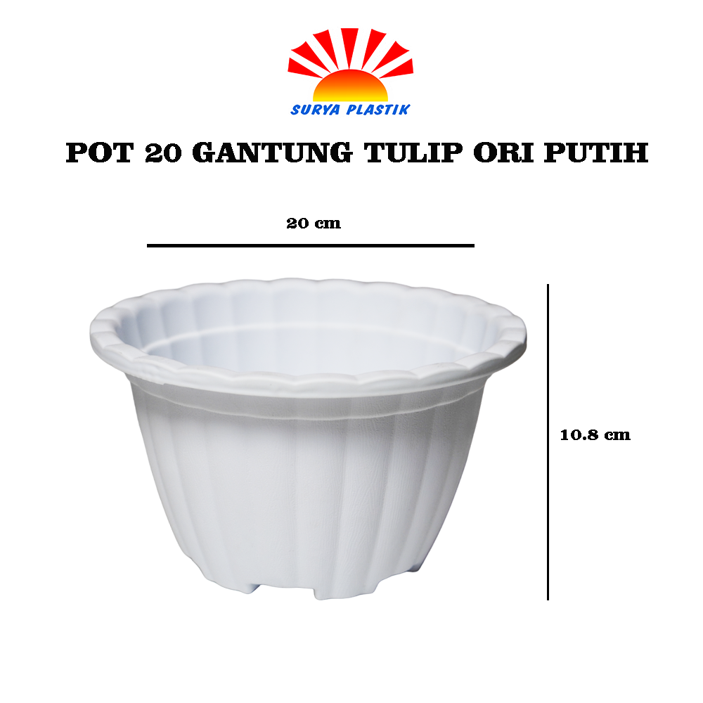 POT 20 GANTUNG TULIP ORI PUTIH