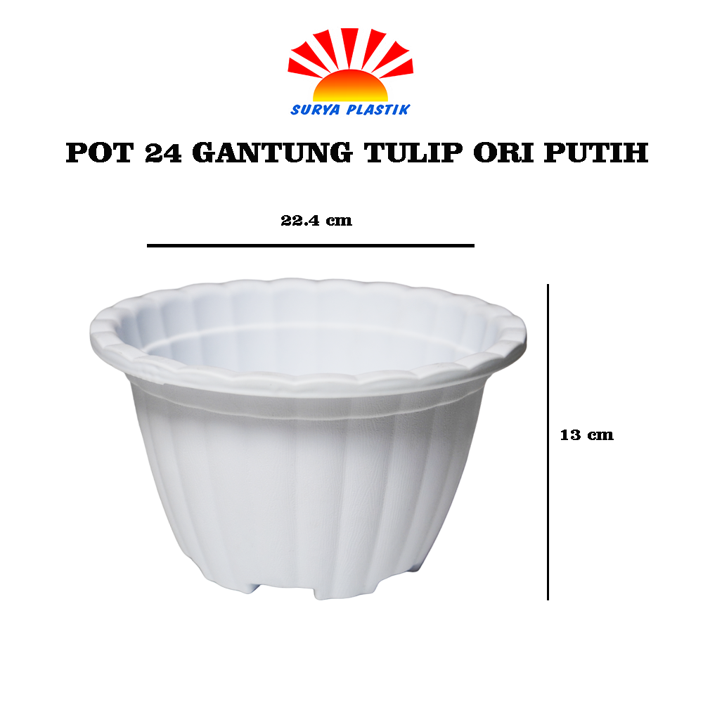 POT 24 GANTUNG TULIP ORI PUTIH
