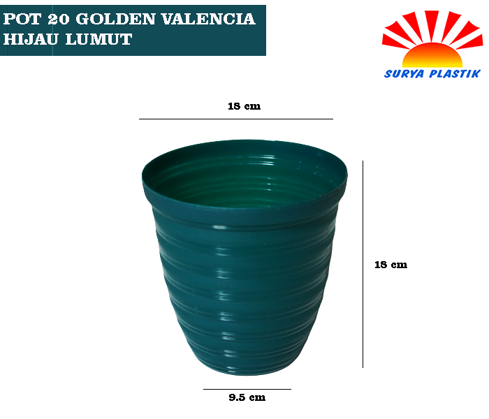POT 20 GOLDEN VALENCIA HIJAU LUMUT