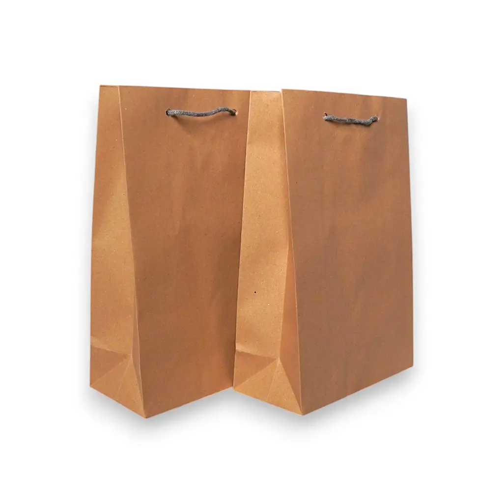 TAS KERTAS 20X9X30 POLOS