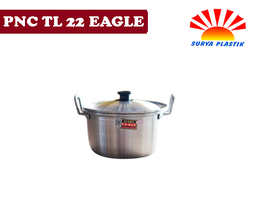 [1762] PNC TL 22 EAGLE@2DZ