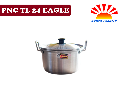 [1763] PNC TL 24 EAGLE