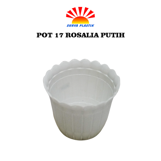 [1975] POT 17 ROSALIA PUTIH
