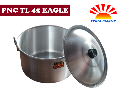 [1198] PNC TL 45 EAGLE