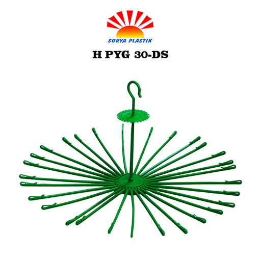 [2415] H PYG 30-DS@3DZ