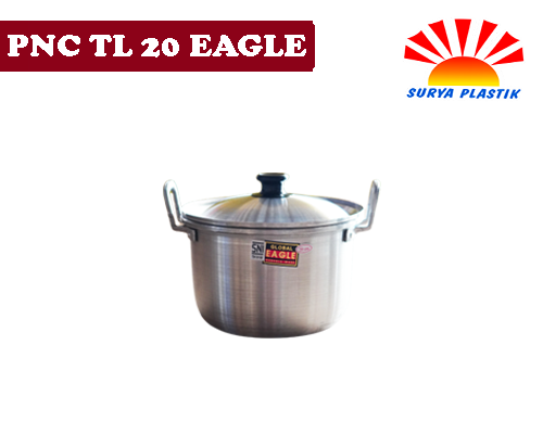 [1227] PNC TL 20 EAGLE