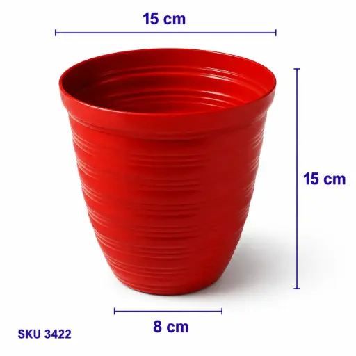[3422] POT 15 GOLDEN VALENCIA MERAH BATA@24DZ