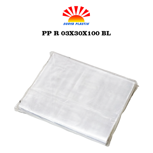[3522] PP R 03X30X100 BL