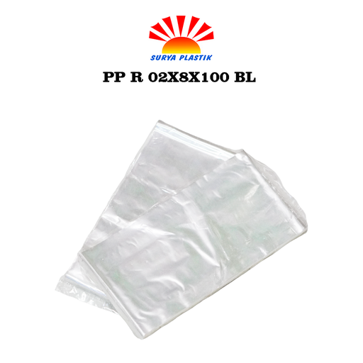 [3543] PP R 02X8X100BM