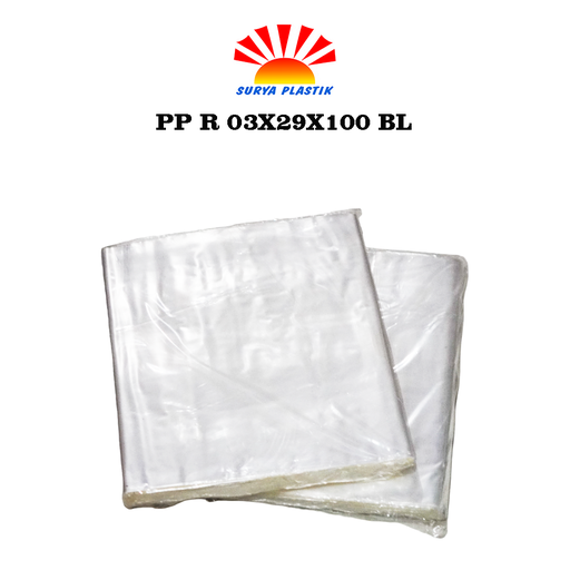 [3561] PP R 03X29X100