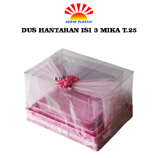 [4197] DUS HANTARAN ISI 3 MIKA T.25