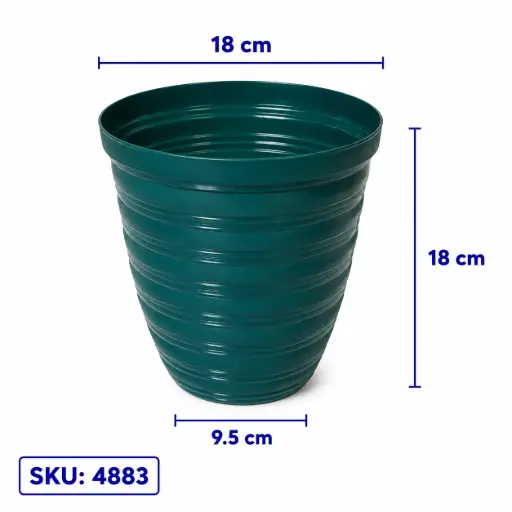 [4883] POT 20 GOLDEN VALENCIA HIJAU LUMUT