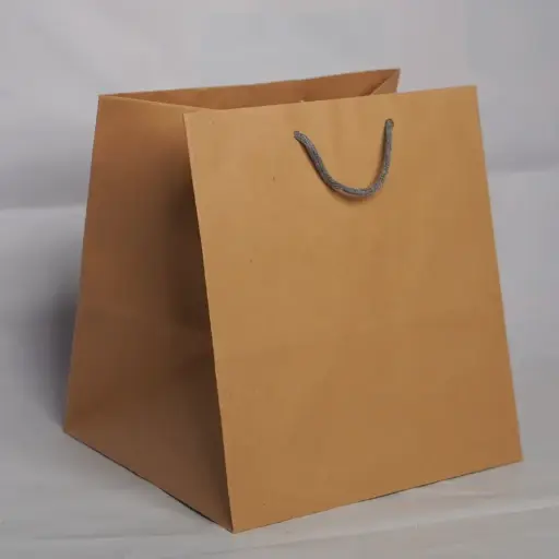 [5063] TAS KERTAS POLOS R10B