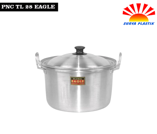 [1492] PNC TL 28 EAGLE